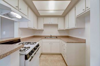 Modern kitchens w/ gas ranges